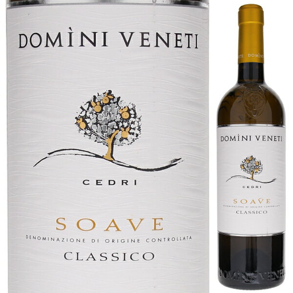 Domini Veneti Soave Classico Cantina Valpolicella Negrarカンティーナ ヴァルポリチェッラ ネグラール （詳細はこちら）白桃を想わせる繊細でフローラルな香り、クリスピーでフレッシュな調和のとれた味わい。フィニッシュではアーモンドのような若干の苦味が優しく口に広がります。750mlガルガーネガ、トレッビアーノ、シャルドネイタリア・ヴェネトソアーヴェ クラシコDOC白他モールと在庫を共有しているため、在庫更新のタイミングにより、在庫切れの場合やむをえずキャンセルさせていただく場合もございますのでご了承ください。サッポロビール株式会社ヴァルポリチェッラ最大級規模の協同組合「ネグラール」のプレミアムブランド「ドミーニ ヴェネティ」複雑で心地よい香りが漂う、果実味、酸味、ミネラルが見事に調和したソアーヴェ クラシコドミーニ ヴェネティ ソアーヴェ クラッシコ カンティーナ ヴァルポリチェッラ ネグラールDomini Veneti Soave Classico Cantina Valpolicella Negrar商品情報ヴァルポリチェッラ最大級規模の協同組合「ネグラール」のプレミアムブランド「ドミーニ ヴェネティ」白桃を想わせるフローラルな香り、爽やかでフレッシュな調和のとれたソアーヴェ クラシコ1933年創業、約250軒もの農家が参画するヴァルポリチェッラの歴史ある協同組合「カンティーナ ヴァルポリチェッラ ネグラール」。アマローネの生みの親としても知られる彼らが手掛けるプレミアムブランド「ドミーニヴェネティ」のソアーヴェ クラシコです。白桃を想わせるフローラルな香り、爽やかでフレッシュな調和のとれた味わい。フィニッシュではアーモンドのような若干の苦味が優しく口に広がります。前菜や野菜料理、魚料理と合わせるのが理想的です。2022年6月にネグラールの輸出マネージャー、アルベルト マッゾーニ氏にお話をお聞きしました。「ソアーヴェ クラシコは、ベースはガルガネガで、私たちの味わいを表現するためにトレッビアーノとシャルドネの配分を調整しながらブレンドしています。火山性の土壌を持つ畑で造られているのでミネラル感が生まれます。石灰質土壌が混ざると柑橘系のニュアンスが出ますが、私たちの畑は火山性ですので、十分にミネラルを感じることができます。余韻もとても長いことがわかると思います」生産者情報カンティーナ ヴァルポリチェッラ ネグラール Cantina Valpolicella Negrarアマローネ誕生のきっかけを造ったカンティーナカンティーナ ヴァルポリチェッラ ネグラールは、アマローネクラシコ地区のアルビッツァーノ ディ ネグラールに、この地域の伝統的なワイン造りを守り、消費者に良質なワインを自らの手で提供することを目的に1933年設立した生産者協同組合です。1936年、設立者の一人で組合の代表を務めるガエターノダッローラが、レチョートを造っていたところ誤って発酵を止めずにほったらかしてしまったワインを飲んだところ、「これは単なるアマーロではない、アマローネだ。しかも偉大なアマローネだ！」と叫んだことで誕生したのがアマローネの始まり。これがきっかけとなって「アマローネ」という名前が誕生しました。着実に成長を続けたカンティーナは、1957年には組合員には80になり、現在の本拠地であるネグラールに新しい醸造所を建設。現在は230のメンバーにまで発展しました。組合員たちが所有する畑は約700ヘクタール。彼らは何世代にわたりこの地に住み、愛情とプライドを持って栽培を行っています。最新のテクノロジーを積極的に取り入れて、専門性の高いスタッフが栽培について指導し、伝統との融合を図っています。彼らの造るアマローネは、『ガンベロロッソ』で最高賞トレビッキエリを何度も獲得。海外の評価誌からも高い点数を受けるなど、ネグラール地区の実力派としての地位を固めています。●カンティーナ ヴァルポリチェッラ ネグラールの突撃インタビュー(2022年6月22日)　1938年にアマローネを誕生させたヴァルポリチェッラの歴史的協同組合！「ネグラール」が手掛けるプレミアムブランド「ドミーニ ヴェネティ」突撃インタビューはこちら＞＞