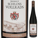 Schlossberg Grosses Gewachs Schloss Vollradsシュロス フォルラーツ （詳細はこちら）こちらは、シュロス・フォルラーツが単一畑のブドウで造る辛口リースリングの最上級キュヴェ。グローセス・ゲヴェックス（ grosses gewachs）とはドイツのグラン・クリュにあたり、シュロス・フォルラーツで単一畑として日本でリリースしているのはこのシュロスベルグ。土壌は黄土ロームに珪岩、砂利が混じり合うミネラル豊富な地質で、畑の特徴を反映したラインガウらしさの詰まった味わい。2016年ヴィンテージから醸造の一部に大樽を用いており、ラインガウらしい豊かさに加え優雅さも併せ持った仕上がりになっています。750mlリースリングドイツ・ラインガウラインガウgU白他モールと在庫を共有しているため、在庫更新のタイミングにより、在庫切れの場合やむをえずキャンセルさせていただく場合もございますのでご了承ください。エノテカ株式会社