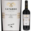 【6本〜送料無料】カタッボ ティンティリア デル モリーゼ 2019 赤ワイン イタリア 750ml