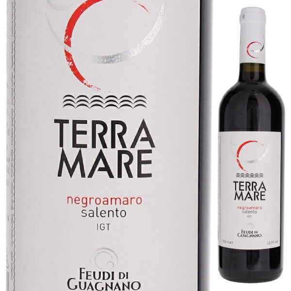 フェウディ ディ グアニャーノ テラマーレ ネグロアマーロ サレント 2020 赤ワイン ネグロ アマーロ イタリア 750ml