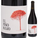 【6本〜送料無料】バランコ オスクーロ エル ピノ ロホ 2020 赤ワイン ピノ ノワール スペイン 750ml 自然派