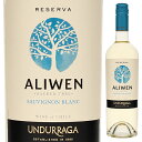 Aliwen Reserva Sauvignon Blanc Undurragaウンドラーガ （詳細はこちら）フレッシュな果実味とハーブの香りを爽やかな酸が引き締めます。750mlソーヴィニョン ブランチリ・アコンカグア・レイダ ヴァレー・レイダレイダ ヴァレーDO白他モールと在庫を共有しているため、在庫更新のタイミングにより、在庫切れの場合やむをえずキャンセルさせていただく場合もございますのでご了承ください。三国ワイン株式会社