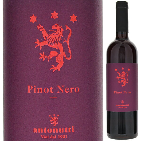 【6本～送料無料】アントヌッティ ピノ ネロ 2020 赤ワイン ピノ ネロ イタリア 750ml