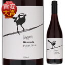 ローガン ワインズ ウィマーラ ピノ ノワール 2022 赤ワイン ピノ ノワール オーストラリア 750ml スクリューキャップ 旨安大賞2022