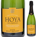 Hoya De Cadenas Cava Brut Nature Vicente Gandiaビセンテ ガンディア （詳細はこちら）やさしい口当たりと柑橘系のフレッシュな香りを伴った瓶内二次醗酵のスパークリングワイン。アペリティフに最適です。750mlマカベオスペイン・カタルーニャ・ペネデスカヴァDO発泡白他モールと在庫を共有しているため、在庫更新のタイミングにより、在庫切れの場合やむをえずキャンセルさせていただく場合もございますのでご了承ください。株式会社　モトックス