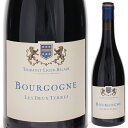 Bourgogne les Deux Terres Bourgogne Gamay Thibault Liger-Belairティボー リジェ ベレール （詳細はこちら）ガメイ750mlガメイフランス・ブルゴーニュブルゴーニュAOC赤他モールと在庫を共有しているため、在庫更新のタイミングにより、在庫切れの場合やむをえずキャンセルさせていただく場合もございますのでご了承ください。ジェロボーム株式会社