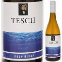 【6本～送料無料】テッシュ ディープ ブルー 2021 白ワイン ピノ ノワール ドイツ 750ml スクリューキャップ