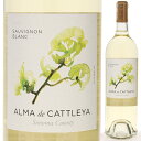 Sauvignon Blanc Sonoma Alma de Cattleyaアルマ デ カトレア （詳細はこちら）Sauvignon Blanc 100% 冷涼なソノマ・コーストの5つの畑から、クローン1とムスケ・クローンを使う。仏産樽（数年使い）で発酵・熟成6か月。パッションフルーツ、グアバ、グレープフルーツ、砕いた岩の様な微妙なニュアンスが香り高く、驚くほどフレッシュでピュアなアロマが口中に広がる。若々しくこくの豊かな味わい。数年使いの樽熟成が品種の個性を鮮明に際立たせ、爽快な酸味と美しく調和する。水牛のチーズ、ハーブが効いたチーズ、オイル・サーディンやシンプルなソースの魚やチキンのグリル、スパイスが効いたエスニックやメキシカンと良く合う。750mlソーヴィニョン ブランアメリカ・カリフォルニアソノマAVA白他モールと在庫を共有しているため、在庫更新のタイミングにより、在庫切れの場合やむをえずキャンセルさせていただく場合もございますのでご了承ください。株式会社中川ワイン