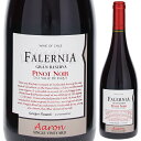 【6本〜送料無料】ビーニャ ファレルニア ピノ ノワール グラン レセルバ アーロン ティトン シングル ヴィンヤード 2019 赤ワイン ピノ ノワール チリ...