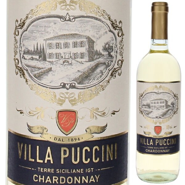 【6本〜送料無料】ヴィラ プッチーニ シャルドネ テッレ シチリアーネ 2024 白ワイン シャルドネ イタリア 750ml