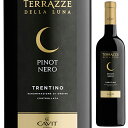 【6本~送料無料】カヴィット テラッツェ デッラ ルーナ ピノ ネロ 2023 赤ワイン イタリア 750ml