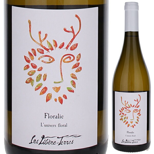 6ܡ̵ۥե 2023  ١ ơ 磻 ե 750ml ˥  ǥ 