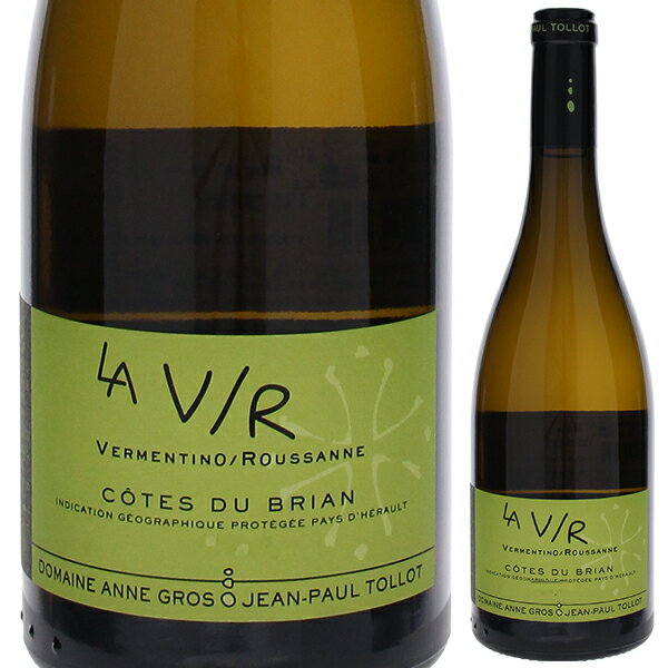 6ܡ̵ۥƥ 롼  ǥ ֥ꥢ 2021 ɥ᡼     ݡ ȥ 磻 ե 750...