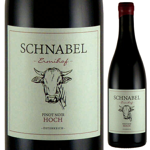【6本〜送料無料】ピノノワール ホッホエッグ 2021 シュナーベル 赤ワイン オーストリア 750ml ピノ ノ..