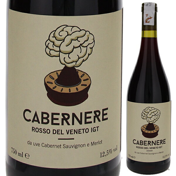 【6本〜送料無料】カベルネーレ NV イル モラリッザトーレ 赤ワイン イタリア 750ml 自然派 カベルネ ソーヴィニョン ヴェネト 敬老の日 toscana-10055879 トスカニー イタリアワイン専門店 パッケージ画像