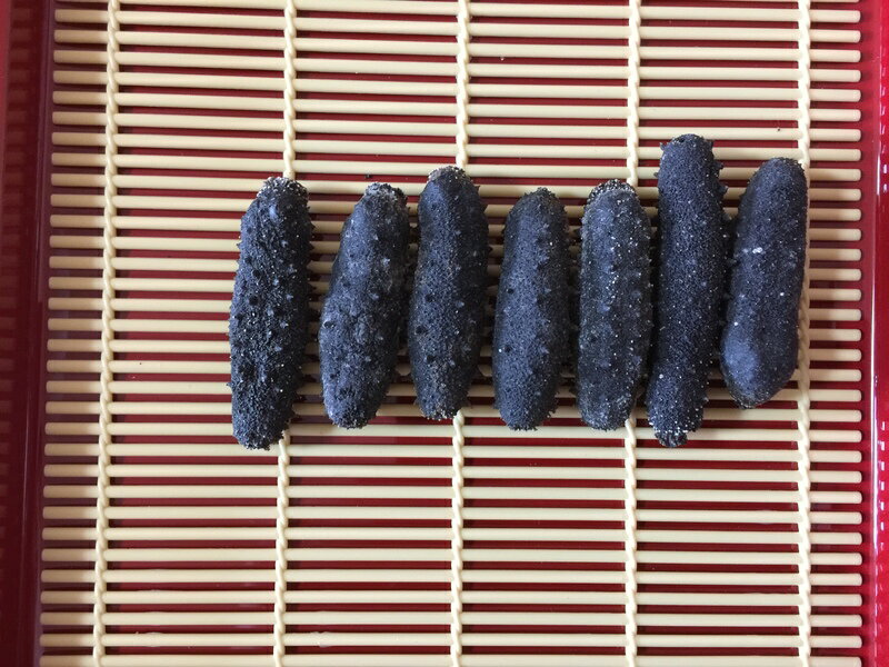 最高級 関西産 純淡干海参 1KG入Sサイズ A級品 なまこ ナマコ 海参 乾燥なまこ 乾燥ナマコ 干しナマコ 干しなまこ 純淡干 干海参のサムネイル