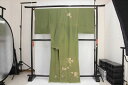 正絹訪問着 訳あり実店舗キャリー在庫 抹茶(つる草×梅×楓×松×つる) お祝い 着付 お稽古 送料無料 送料込み
