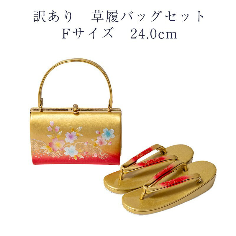 ʪ  Хåå  F 24.0cm ǥ ʪ եޥ뤫饻ߥեޥ  ؿʪ 礭 L Х...