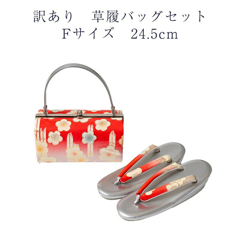 ʪ  Хåå  F 24.5cm ǥ ʪ եޥ ߥեޥ  ؿʪ 礭 L Хå...