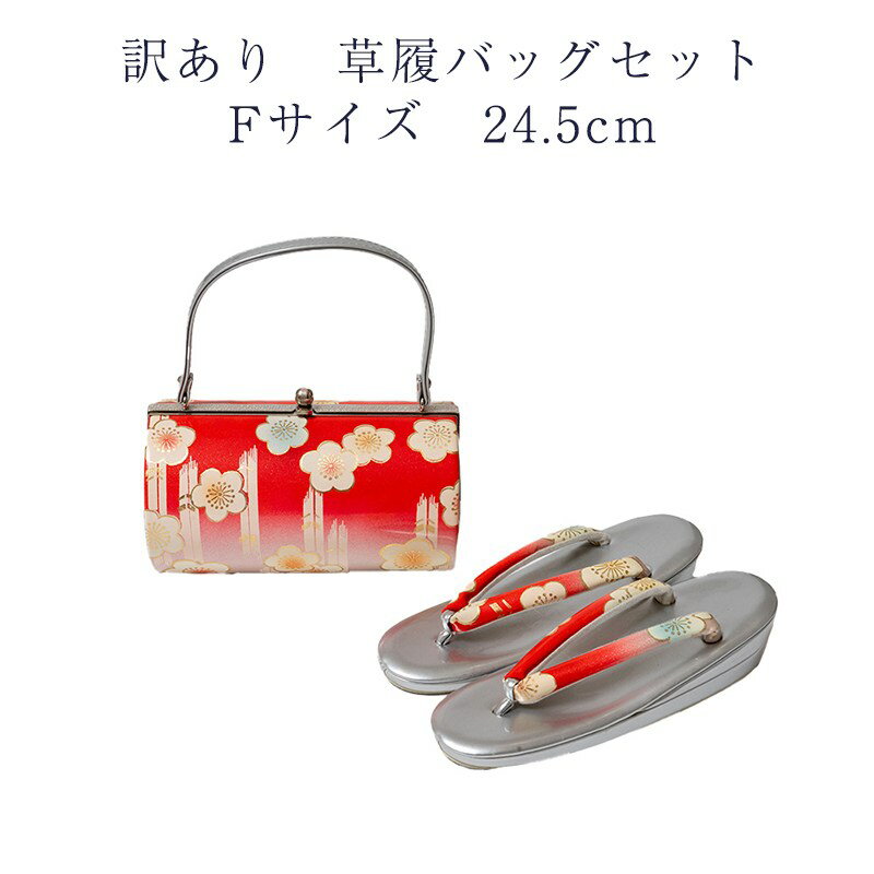 ʪ  Хåå  24.5cm ǥ ʪ եޥ뤫饻ߥեޥ  ؿʪ 礭 L Хåå ...