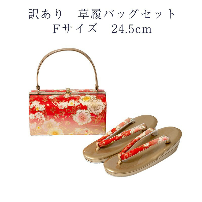 ʪ  Хåå  L 24.5cm ǥ ʪեޥ뤫饻ߥեޥޤǻȤΤ륹ݥ Хåå ...