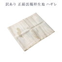 着物屋 訳あり 廃業品 正絹 長襦袢 生地 ハギレ はぎれ 端切れ 小物製作 パッチワーク 半衿系に使える