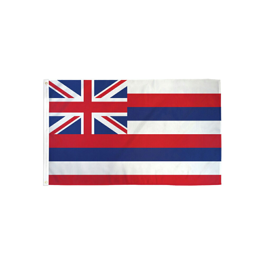 yAJtbOznCtbO 2~3fti60~90cmj y[։z Hawaii Flag ST23-HI