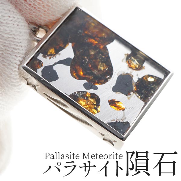 パラサイト 隕石 ペンダント メテオライト ペンダントトップ Pallasite Meteorite 石鉄隕石 オリビン パワーストーン 天然石 ランダム発送 送料無料 M便 1/20