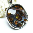 パラサイト 隕石 ペンダント 石鉄隕石 pendant ペンダントトップ Pallasite Meteorite メテオライト オリビン パワーストーン 天然石 一点物 [送料無料] 112-9012