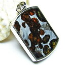 pTCg覐 y_g Pallasite Meteorite Ir eICg ΓS覐 pendant y_ggbv p[Xg[ VR _ [] 112-9037