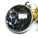 覐 pTCg 覐 y_g pallasite meteorite Ir eICg ΓS覐 pendant y_ggbv p[Xg[ VR _  112-9115