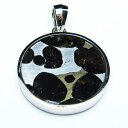 パラサイト 隕石 ペンダント 石鉄隕石 pendant ペンダントトップ Pallasite Meteorite メテオライト オリビン パワーストーン 天然石...