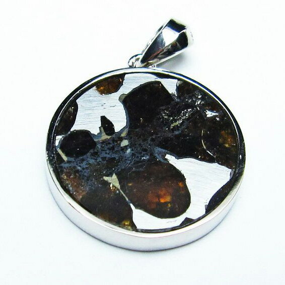 ѥ饵  ڥ Ŵ pendant ڥȥȥå Pallasite Meteorite ƥ饤 ӥ ѥȡ ŷ ʪ [̵] 112-9238