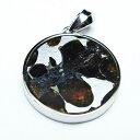 パラサイト 隕石 ペンダント 石鉄隕石 pendant ペンダントトップ Pallasite Meteorite メテオライト オリビン パワーストーン 天然石...