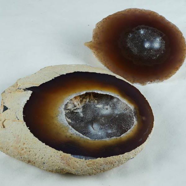 2.3Kg ȥ쥸㡼Υ  Υ    agate å ѥȡ ŷ   ʪ ƥꥢ ʪ [̵] 175-1148