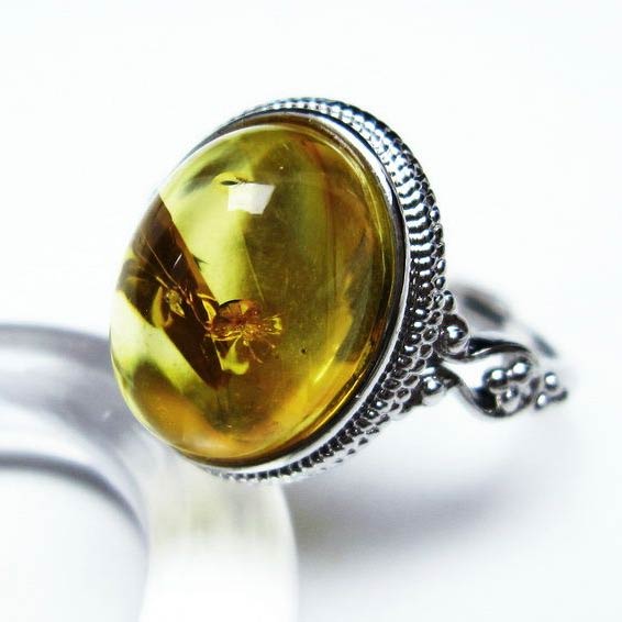 アンバー リング フリーサイズ 15号 琥珀 指輪 amber ring 化石 アクセサリー メンズ レディース 一点物 メール便可 [M便 1/20] 115-4784