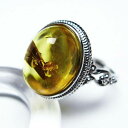 Ao[ O t[TCY 15  w amber ring  ANZT[ Y fB[X _ [։ [M 1/20] 115-4784