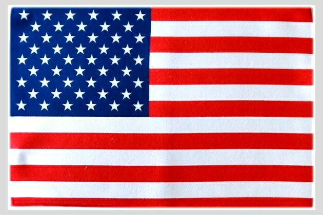 TOSPA 世界の国旗 ミニタオル ハンドタオル アメリカ合衆国 USA 星条旗柄 素早い吸水 速乾のマイクロファイバー生地 ミニメガネ拭き スマホ タブレット レンズクリーナークロス