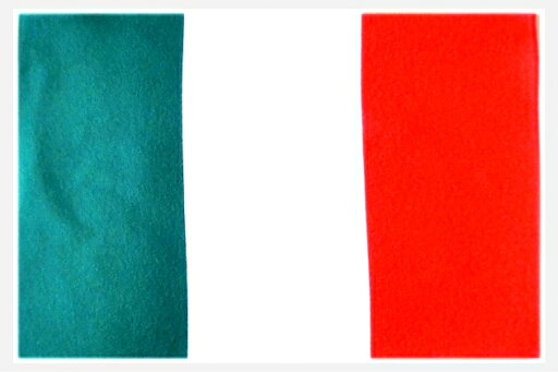 TOSPA 世界の国旗 ミニタオル ハンドタオル イタリア国旗柄(素早い吸水 速乾のマイクロファイバー生地)ミニメガネ拭き スマホ タブレット レンズクリーナークロス TOSPA 世界の国旗 ミニタオル ハンドタオル イタリア国旗柄(素早い吸水 速乾のマイクロファイバー生地)ミニメガネ拭き スマホ タブレット レンズクリーナークロス