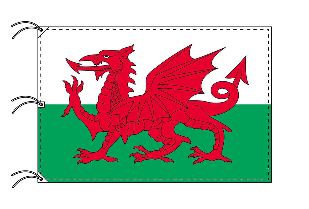 TOSPA ウェールズ 国旗 140×210cm テトロン製 日本製 世界の国旗シリーズ