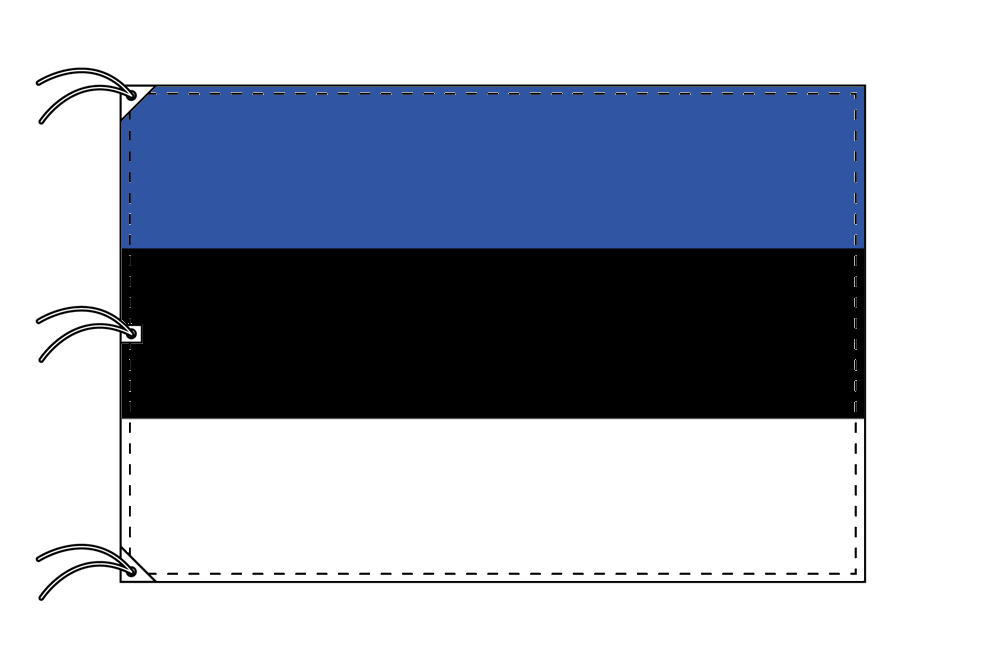 TOSPA エストニア 国旗 200×300cm テトロン製 日本製 世界の国旗シリーズ