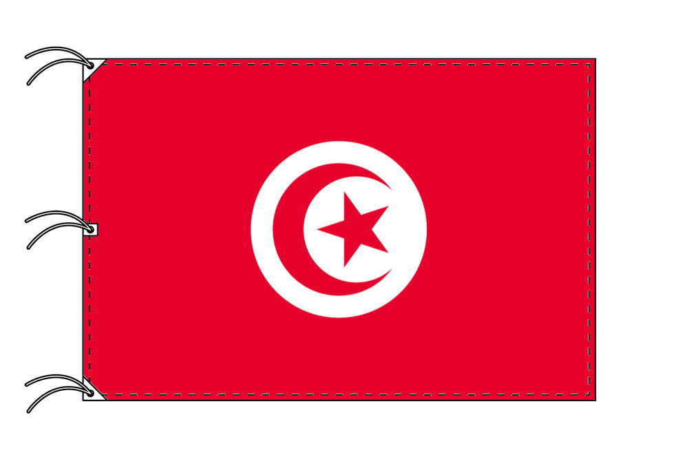 TOSPA チュニジア 国旗 200×300cm テトロン製 日本製 世界の国旗シリーズ