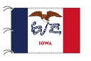 TOSPA アイオワ州旗[アメリカ合衆国の州旗 140×210cm 高級テトロン製]