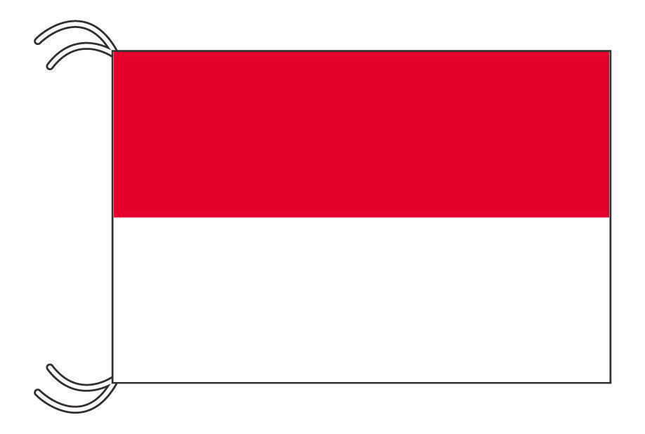 TOSPA インドネシア 国旗 MLサイズ 45×67.5cm テトロン製 日本製 世界の国旗シリーズ