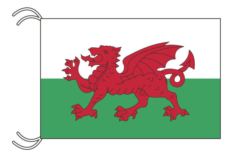 TOSPA ウェールズ 国旗 MLサイズ 45×67.5cm テトロン製 日本製 世界の国旗シリーズ