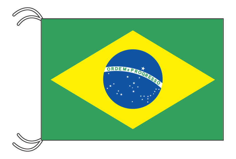 TOSPA ブラジル 国旗 MLサイズ 45×67.5cm テトロン製 日本製 世界の国旗シリーズ