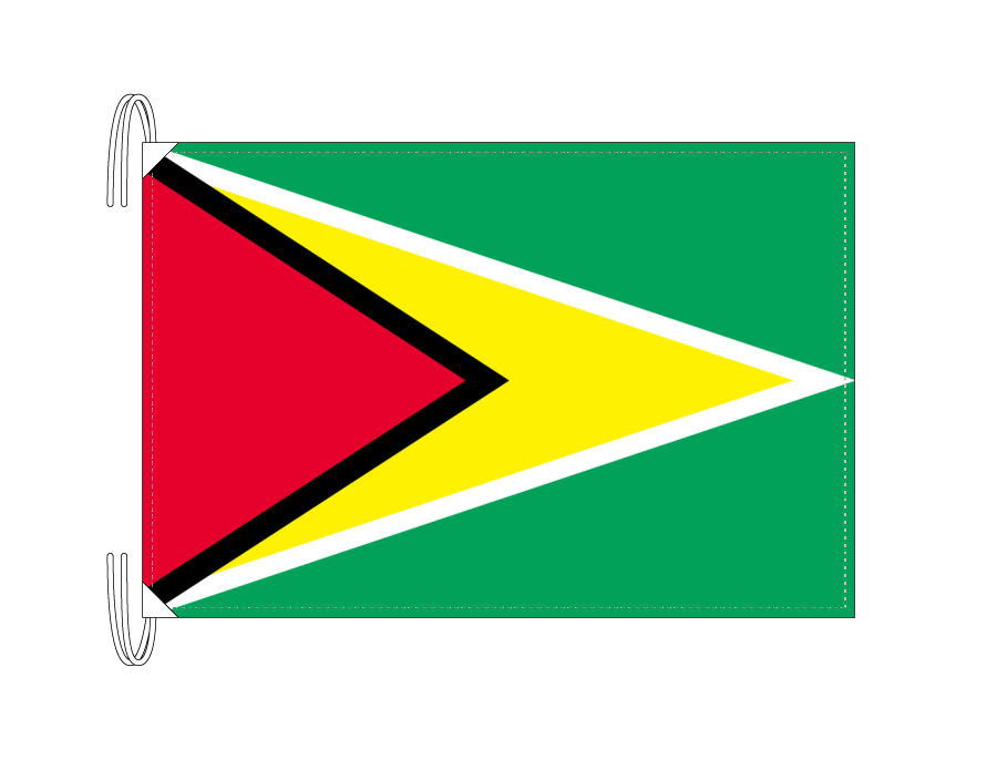 TOSPA ガイアナ 国旗 Lサイズ 50×75cm テトロン製 日本製 世界の国旗シリーズ