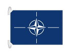 NATO ナトー 北大西洋条約機構 旗 Lサイズ 50×75cm テトロン製 日本製 世界の国旗シリーズ