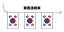 TOSPA 20枚連続旗 大韓民国 韓国 国旗 Sサイズ 25×37.5cm 全長約15m テトロン製 日本製 6,480円