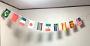 TOSPA ミニ連続万国旗 Aタイプ 10カ国 14×21cm 全長約3.5m テトロンポンジ製